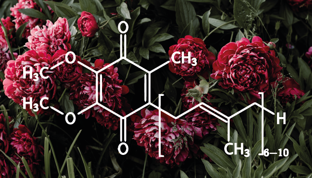 The Benefits of Coenzyme Q10