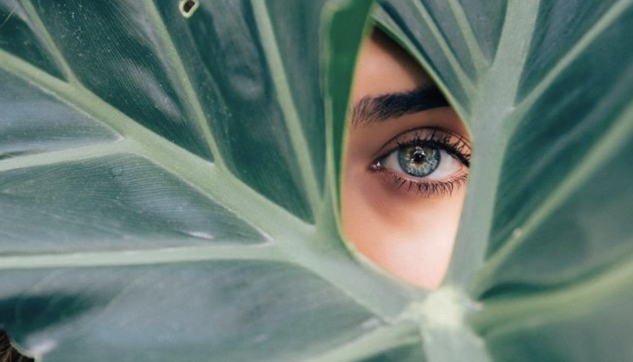 CBD Oil, Cannabis and Chronic Fatigue Syndrome (CFS/ME)